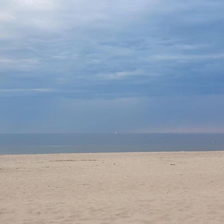 Visit Baltic - Rezydencja Sienkiewicza Rs1.07 سفينويتشي المظهر الخارجي الصورة